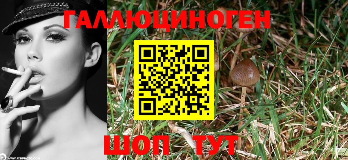 Галлюциногенные грибы MAGIC MUSHROOMS  Вход с VPN  Каспийск  Псилоцибиновые грибы Cubensis 